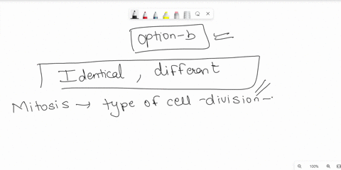 the-daughter-cells-following-mitosis-are-genetically-meiosis-are-genetically-while-the-daughter-cells-following-identical-identical-b-identical-different-different-identical-different-differ-60313