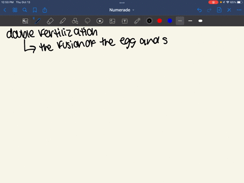 with-the-help-of-a-labeled-diagram-explain-double-fertilization-2