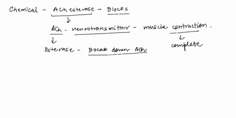 consider-a-chemical-that-blocks-the-action-of-acetylcholinesterase-what-effect-does-this-have-on-muscles-31-multiple-choice-8001833-it-would-cause-paralysis-it-would-cause-action-potentials-59191