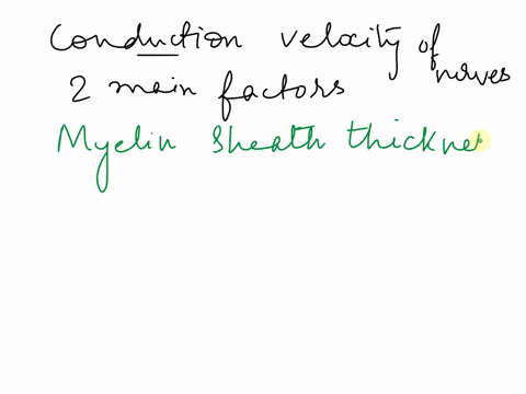 brieflylist-the-two-main-factors-that-influence-conduction-velocities-of-nerves-what-happens-to-the-nerves-of-people-with-multiple-sclerosis-ms-that-results-in-the-symptoms-associated-with-t-92987