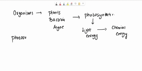 what-are-the-end-products-of-photosynthesis-water-and-carbon-dioxide-carbohydrate-and-water-water-and-oxygen-oxygen-and-carbohydrate-77868