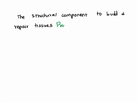 which-nutrient-class-is-used-to-build-body-tissues-and-make-enzymes-lipids-proteins-vitamins-carbohydrates-12992