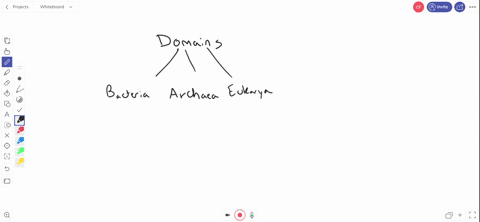 which-of-the-following-includes-prokaryotic-organisms-a-protists-b-fungi-c-archaea-d-plants