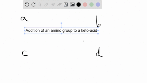 the-transamination-reaction-in-amino-acid-synthesis-is-enzyme-catalyzed-by-the-1pc-nitric-oxide-synthase-decarboxylase-aminotransferase-glutamate-decarboxylase-37763