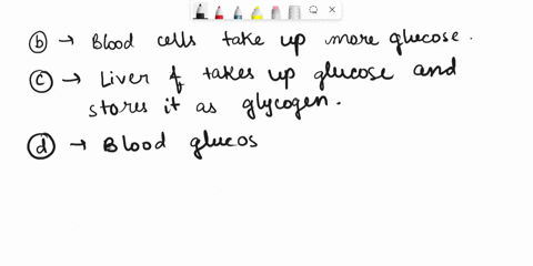 label-bioflix-activity-homeostasis-regulating-blood-sugar-14-of-16-body-cells-take-up-more-glucose-pancreas-releases-glucagon-pancreas-releases-insulin-liver-breaks-down-glycogen-and-release-57446