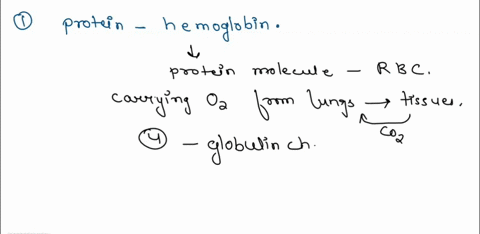 it-exemplifies-write-the-correct-match-each-molecule-with-the-class-of-macromolecules-28-by-the-letter-protein-a-b-carotene-ii-lipid-b-chitin-iii-nucleic-acid-c-hemoglobin-iv-carbohydrate-d-13126