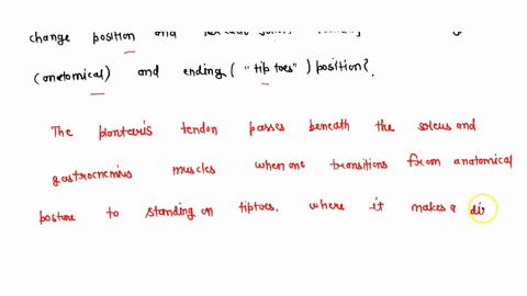 when-going-to-from-anatomical-position-to-standing-on-tip-toes-the-position-of-several-joints-changes-name-the-joints-that-change-position-and-for-each-joint-identify-the-starting-anatomical-64491