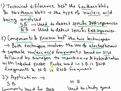 what-is-the-main-technical-difterence-between-sauthern-and-northem-blots-that-is-what-comporent-ar-piocess-between-theso-yio-techniques-application-ditterence-betwecn-southern-and-northarn-b-57905