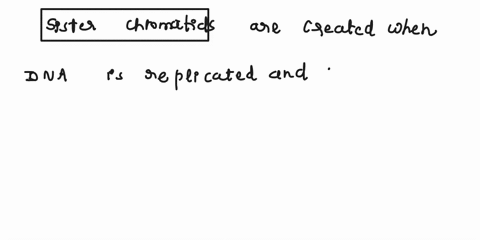 sister-chromatids-1-are-created-when-dna-is-replicated-2-are-attached-at-tge-centromete-prior-to-division-3-are-separated-during-mitosis-4-hsve-mstching-copies-kf-the-chromosomes-5-all-the-a-96084