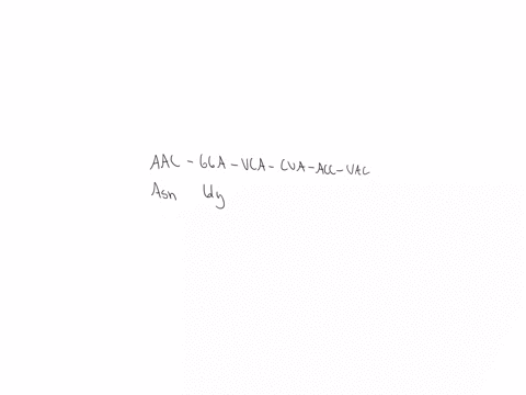 what-amino-acid-sequence-is-encoded-by-the-mrna-molecule-5_aacggaucacuaaccuac-3-assume-that-the-reading-frame-starts-at-the-5-end-use-a-codon-table-to-determine-the-identity-of-the-translate-01251