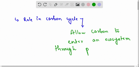 plants-play-a-crucial-role-in-the-carbon-cycle-because-they-do-not-release-carbon-dioxide-during-cellular-respiration-allow-carbon-to-enter-an-ecosystem-via-photosynthesis-have-special-bacte-94944