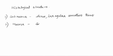 identify-histological-teamure-submucosa-composed-out-of-densc-irregular-connective-tissue-mucosa-composed-of-simple-columnar-epithelium-iamina-propria-and-musculari-mucosae-muscularis-compos-55338