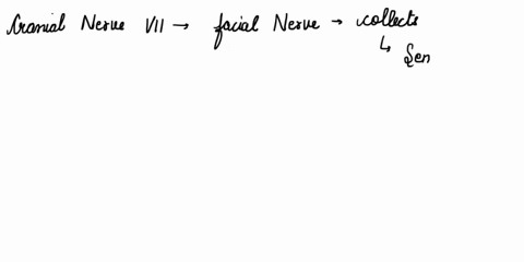 which-cranial-nerves-carry-gustatory-impulses-to-the-brain-58963