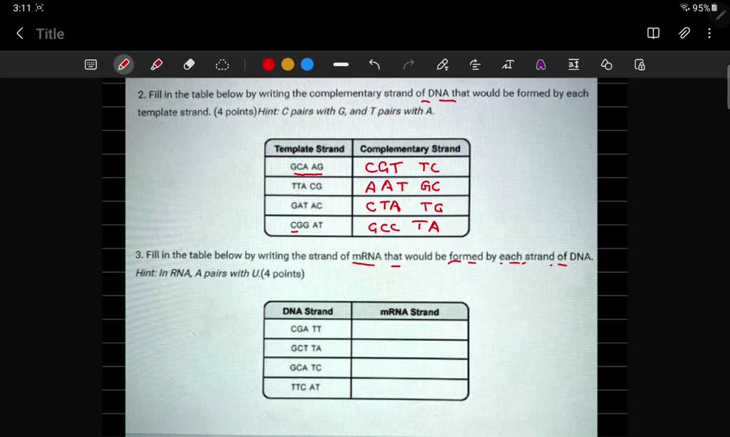 SOLVED: 'Fill in the table below by writing the complementary strand of ...