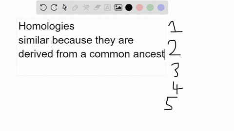 which-observations-are-examples-of-homologies-select-all-of-the-correct-answers-1the-pharyngeal-arches-found-in-all-vertebrate-embryos-develop-into-gill-supports-in-fish-and-throat-structure-24995