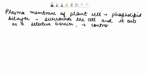 which-of-the-following-is-one-of-the-major-components-of-the-plasma-membrane-of-a-plant-cell-a-phosp-97678