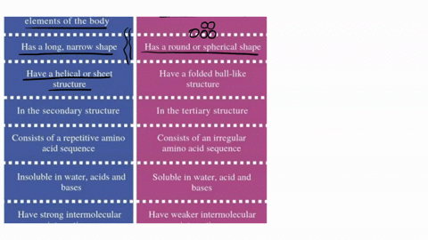 differentiate-between-the-fibrous-and-globular-proteins-in-terms-of-their-structure-and-function-explain-and-provide-examples-6-pts-92014