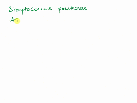 question-2-10-pt5-which-of-these-are-a-known-bacterial-hospital-acquired-infection-select-all-that-apply-pneumocystis-jirovecii-streptococcus-pneumoniae-acanthamoeba-pseudomonas-aeruginosa-k-84688