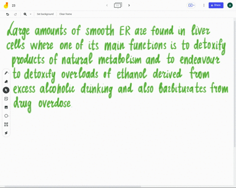 hepatocytes-liver-cells-help-detoxify-chemicals-like-akcohol-and-metabolize-medications-they-are-also-converting-excess-carbohydrates-and-amino-acid-into-lipids-hepatocytes-would-responsible-32389