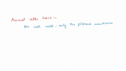 animal-cells-have-which-of-the-following-characteristics-select-all-that-apply-14954