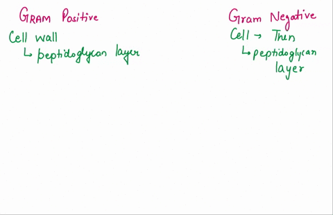 give-the-structural-differences-between-gram-negative-and-gram-positive-bacteria-what-impact-these-difference-have-in-terms-of-antibiotic-sensitivity