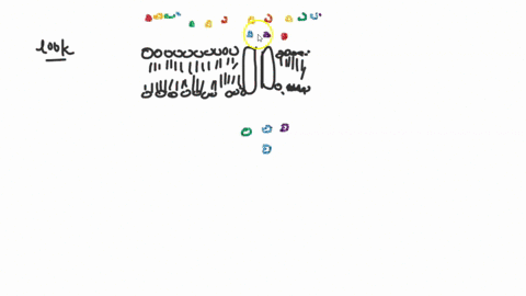 what-type-of-cell-transport-is-shown-in-the-figure-below-facilitated-diffusion-active-transport-endocytosis-simple-diffusion-what-type-of-cell-transport-is-shown-in-the-figure-below-facilita-57475