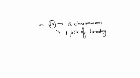 in-organism-with-two-pairs-of-homologous-chromosomes-can-produce-four-kinds-of-gametes-left22right-and-one-with-three-pairs-of-homologous-chromosomes-produces-eight-kinds-of-gametes-left23right-a-spec
