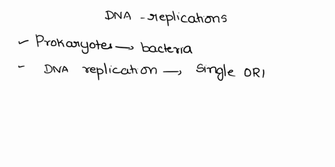 which-statement-about-dna-replication-is-true-a-prokaryotes-only-have-one-origin-of-replication-to-initiate-replication-b-prokaryotes-can-only-replicate-their-single-circular-chromosome-at-a-18245