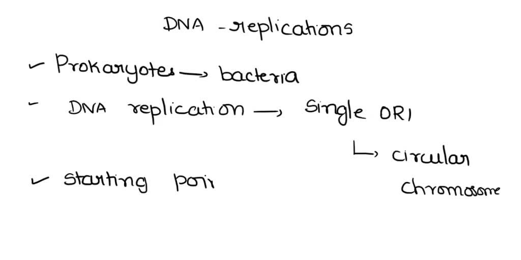 SOLVED Which statement about DNA replication is true? A. Prokaryotes only have one origin of