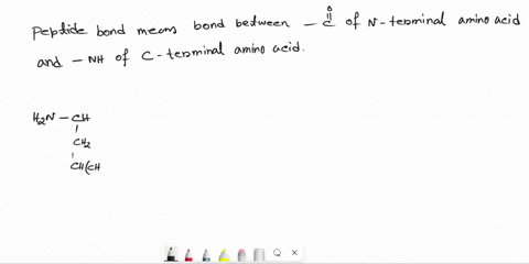 in-the-image-below-which-arrow-is-pointing-to-peptide-bond-between-amino-acids-oh-2-3-chzsh-chz-chzchzcooh-hzn_ch-c-nh-chc-nh-ch-c-nh-ch-coh-1-chz-chch32-67687