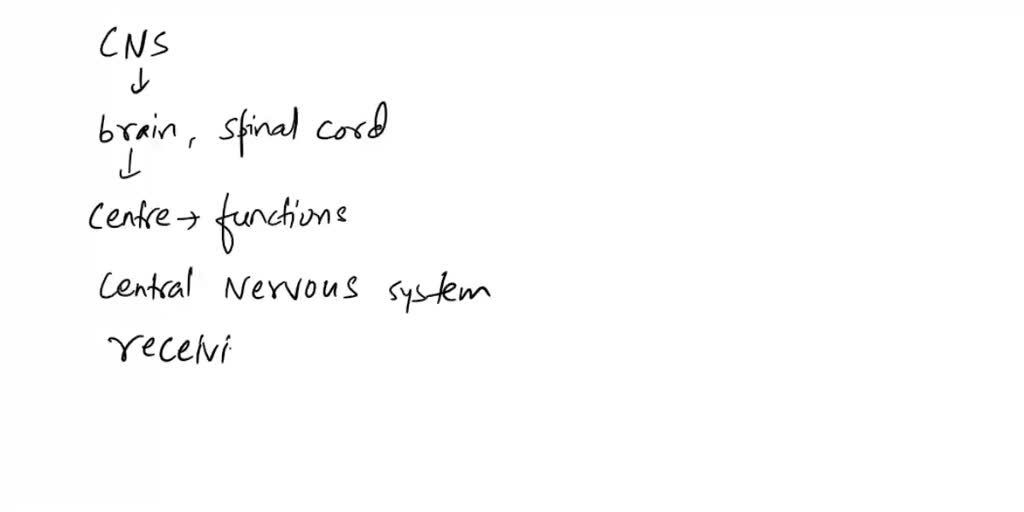 SOLVED QUESTION 1 The brain and spinal cord together. a. Afferent