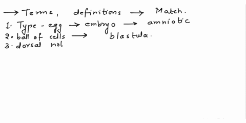 match-the-following-terms-and-definitions-1-a-type-of-egg-or-sac-filled-with-fluid-to-support-an-embryo-2-a-sac-like-ball-of-cells-surrounding-a-fluid-filled-cavity-that-develops-after-the-m-32735