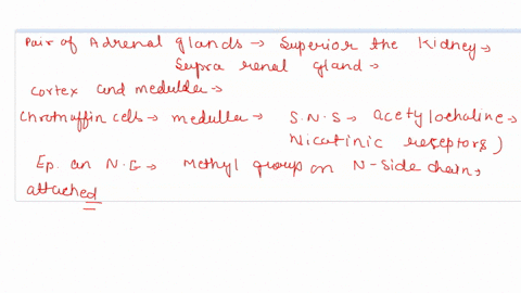 describe-the-location-of-the-adrenal-gland-list-the-hormones-that-are-secreted-by-the-adrenal-medulla-and-the-adrenal-cortex-describe-the-actions-of-the-adrenal-hormones-and-their-contributi-52664