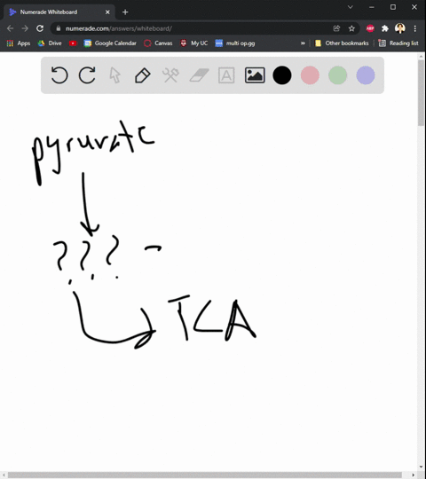 pyruvate-the-end-product-of-glycolysis-enters-the-citric-acid-cycle-after-it-has-been-converted-to-acetaldehyde-lactic-acid-acetic-acid-acetyl-coa-none-of-the-above-63999