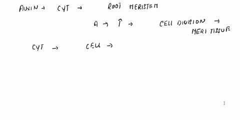 both-auxin-and-cytokinin-have-different-effects-on-different-components-of-the-plant-how-might-this-occur-think-here-about-signal-detection-transduction-and-response-64469