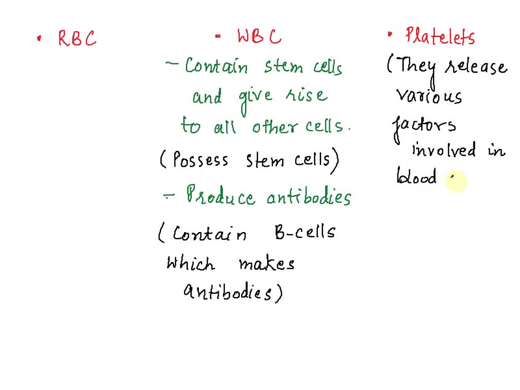 8 Rbcs SOLVED: Text: Where are formed elements made? What are they formed from ...