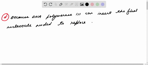 during-dna-synthesis-on-the-lagging-strand-how-come-dna-polymerase-ili-activity-results-in-gap-that-requires-sealing-by-dna-ilgase-because-dna-polymerase-iil-can-insert-the-final-nucleotide-54499