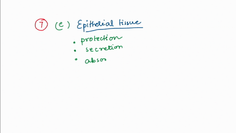question-7-most-of-the-exchange-surfaces-of-multicellular-animals-are-lined-with-which-of-the-following-type-of-tissue-connectlve-tissue-smooth-muscle-cells-neural-tissue-epithelial-tissue-a-87655