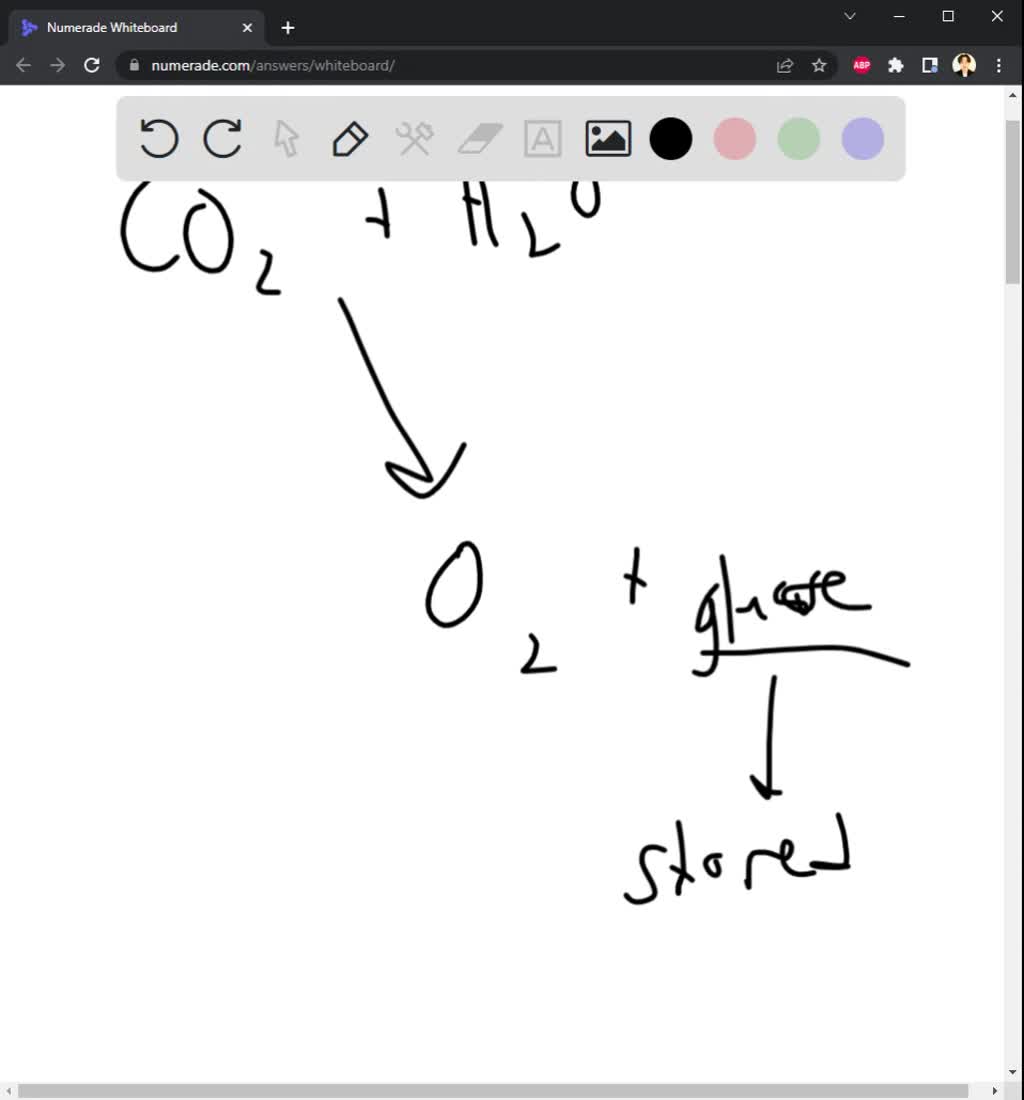 SOLVED: plants have low energy needs as compared to animals give reasons SOLVED: plants have low energy needs as compared to animals give reasons