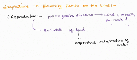 discuss-the-adaptations-that-have-enabled-flowering-plants-to-overcome-the-following-problems-associated-with-life-on-land-a-the-absence-of-an-aquatic-environment-for-reproduction-b-the-abse-86992