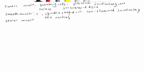 utted-document-google-do-itd1w9umllafthfwupcajuqw-6oup-rixabo7mcpfftprruedit-bat-100-normaltext-arial-17the-terms-and-phrases-in-the-key-relate-to-the-muscle-tissuesfor-each-of-the-three-mus-57016