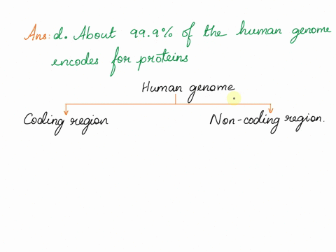 which-of-the-following-is-not-a-major-feature-of-the-human-genome-group-of-answer-choices-the-human-genome-sequence-is-roughly-999-similar-among-individuals-of-all-nationalities-the-y-chromo-31125