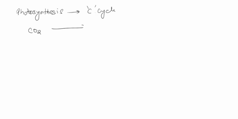 importance-of-photosynthesis-what-role-does-photosynthesis-play-in-the-carbon-cycle-and-how-does-counteract-the-processes-involved-in-climate-change-include-description-of-the-specifc-molecu-85882