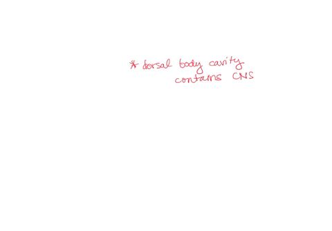 which-of-the-following-cavities-contains-a-component-of-the-central-nervous-system-a-abdominal-b-cranial-c-petvic-d-thoracic