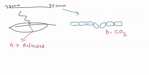 750-light-is-absombed-along-leat-surtace-vsible-light-list-of-terms-these-wavelengths-needed-atp-use-twice-enters-via-stomata-calvin-cycle-plant-cell-vhich-contain-chloroplasts-carbon-dioxid-16165