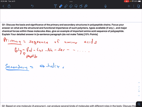 q1-discuss-the-basis-and-significance-of-the-primary-and-secondary-structures-in-polypeptide-chains-focus-your-answer-on-what-are-the-structural-and-functiona-importance-of-such-polymers-typ-36999