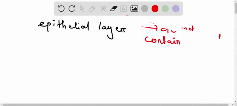 explain-the-process-by-which-epithelial-cells-get-their-nourishment-73032