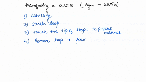 jrder-the-steps-correctly-for-transferring-culture-from-an-agar-slant-to-a-sterile-slant-remove-loop-flame-tube-opening-replace-cap-remove-cap-with-little-finger-do-not-put-cap-down-touch-lo-31063