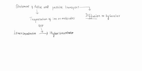 which-of-the-following-statements-is-true-about-active-and-passive-transport-select-all-that-apply-group-of-answer-choices-passive-transport-always-involves-molecules-diffusing-directly-thro-43022