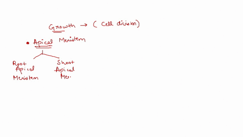 new-plant-cells-originate-from-the-a-parenchyma-b-collenchyma-c-sclerenchyma-d-base-of-the-shoot-e-2-62425